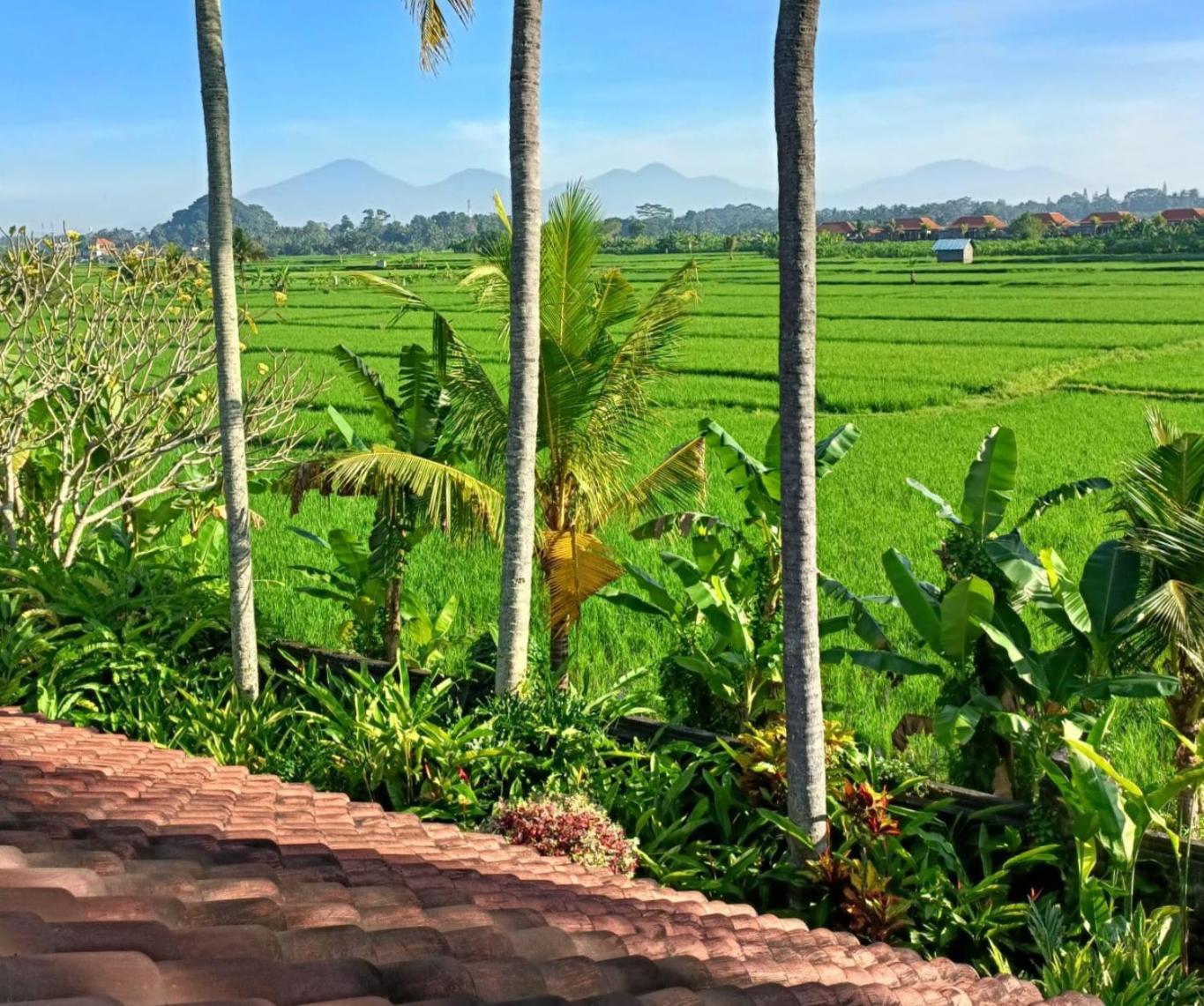 Runa House Of Design Ubud Zewnętrze zdjęcie