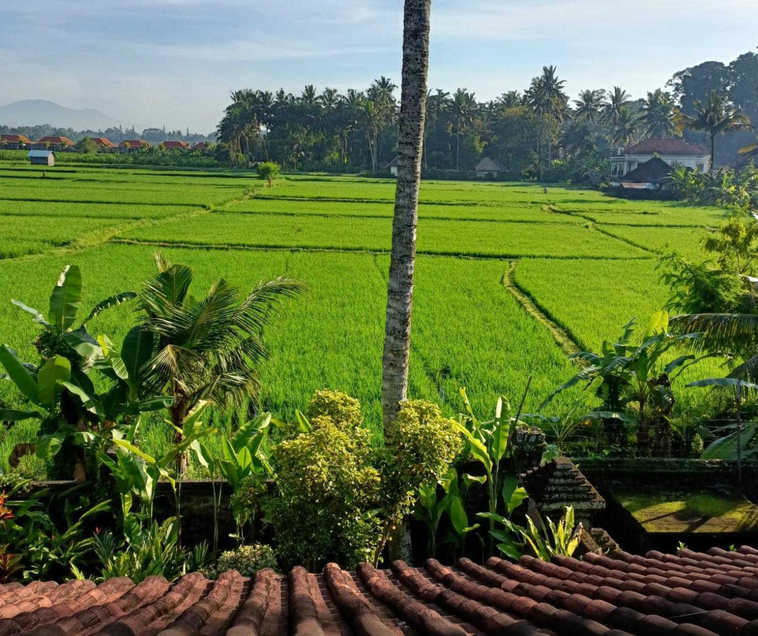 Runa House Of Design Ubud Zewnętrze zdjęcie